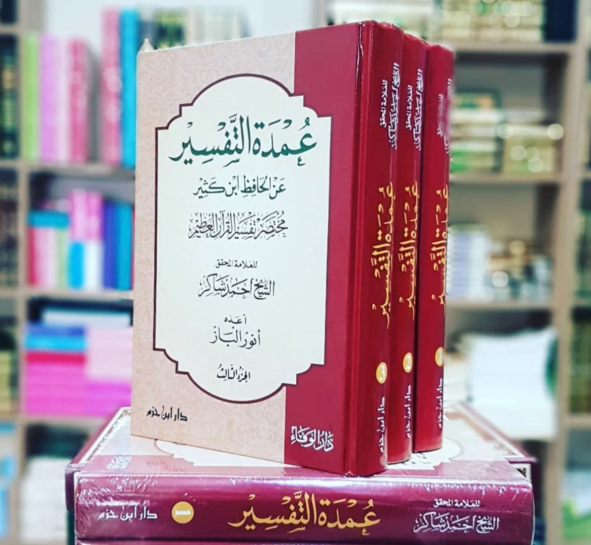 صورة مصغرة 2