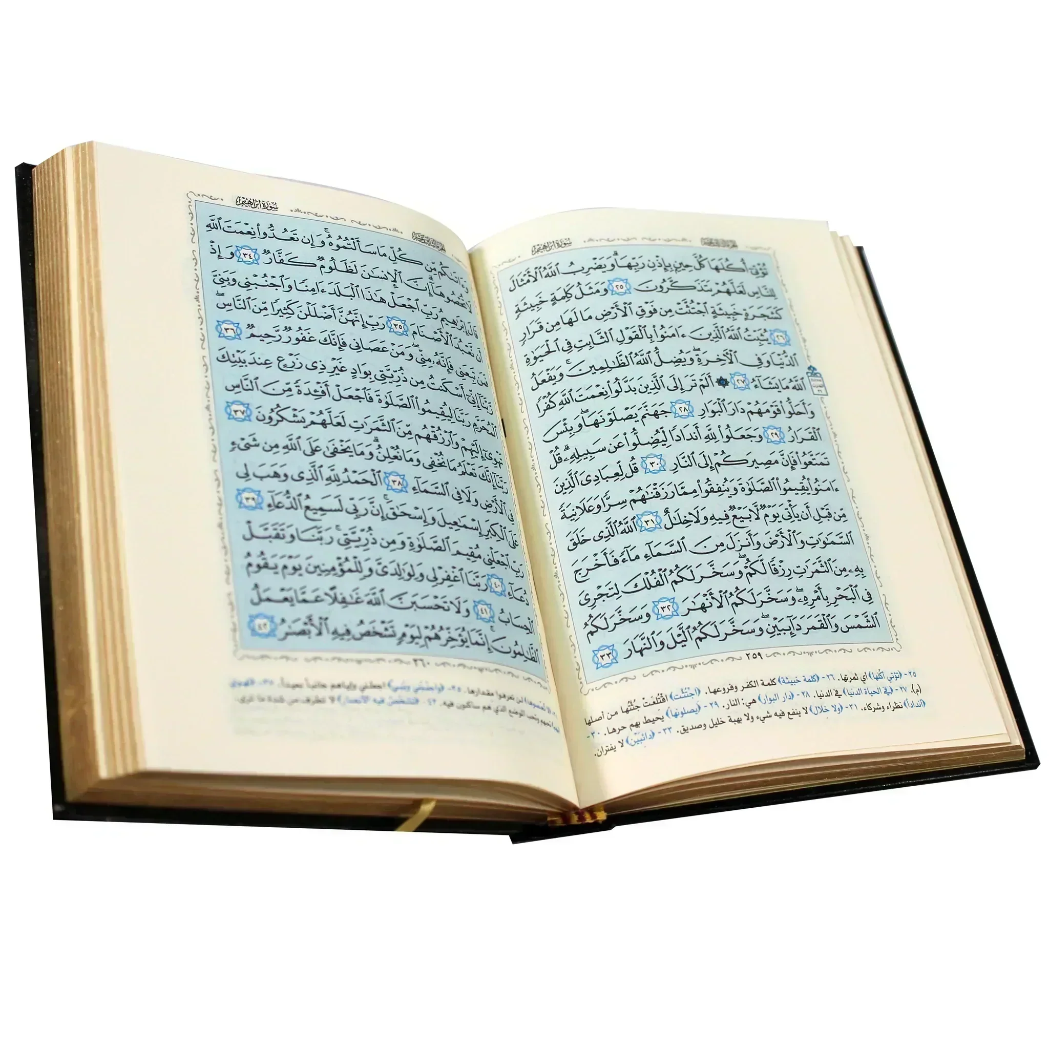 صورة مصغرة 2