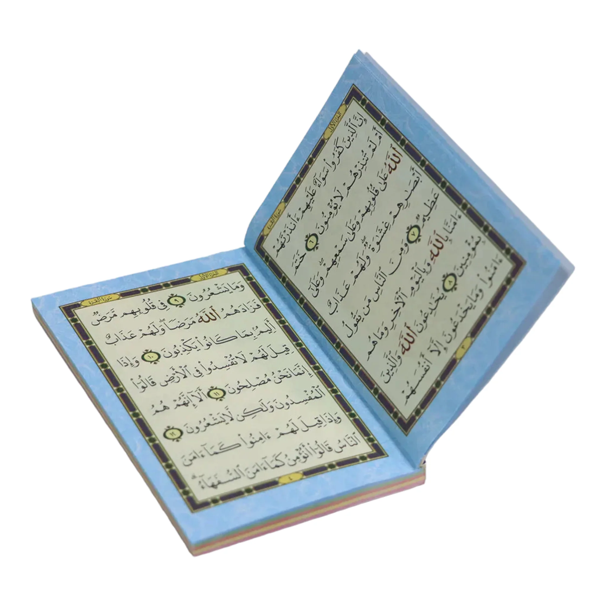 صورة مصغرة 3