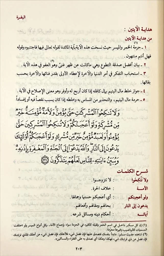 صورة مصغرة 2