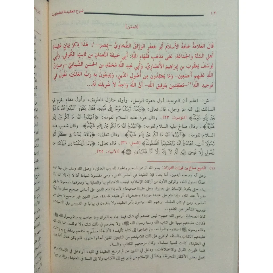 صورة مصغرة 10