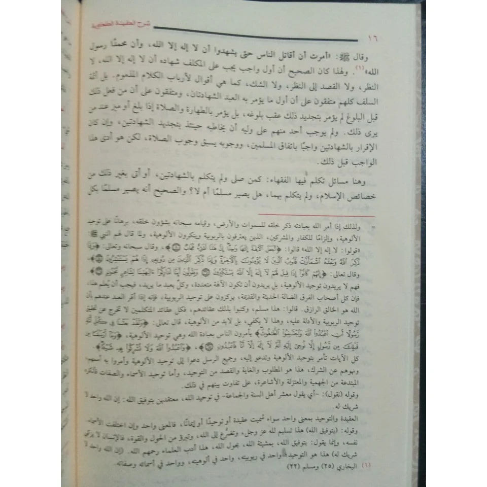 صورة مصغرة 6