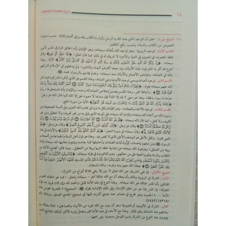 صورة مصغرة 8