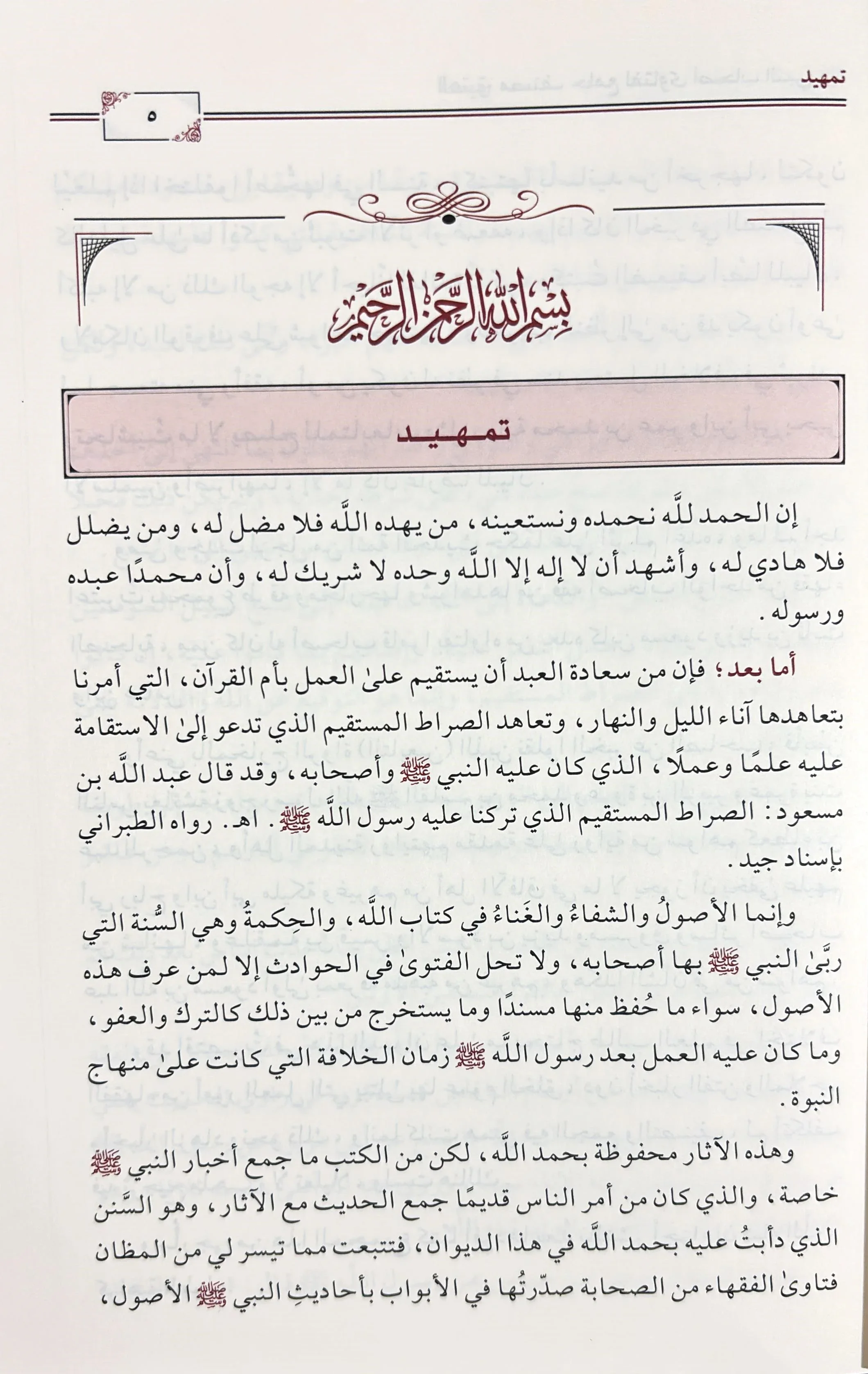 صورة مصغرة 8