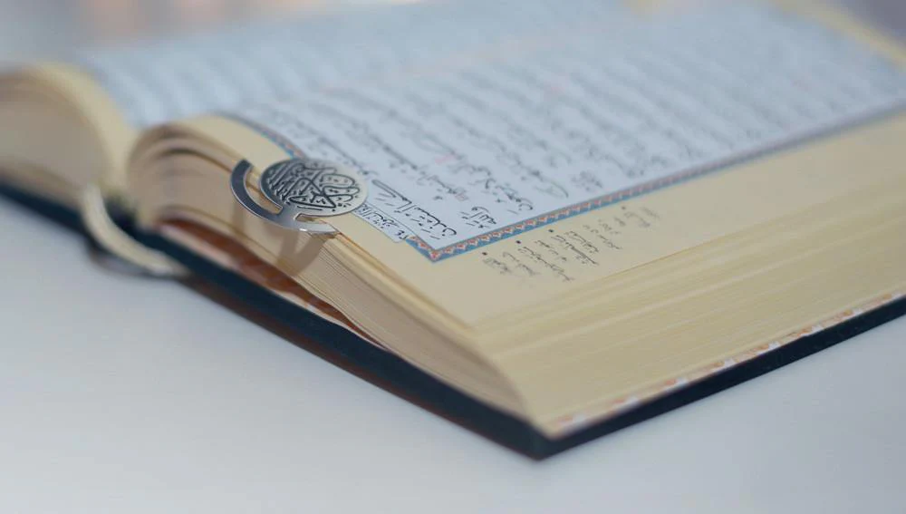 صورة مصغرة 4