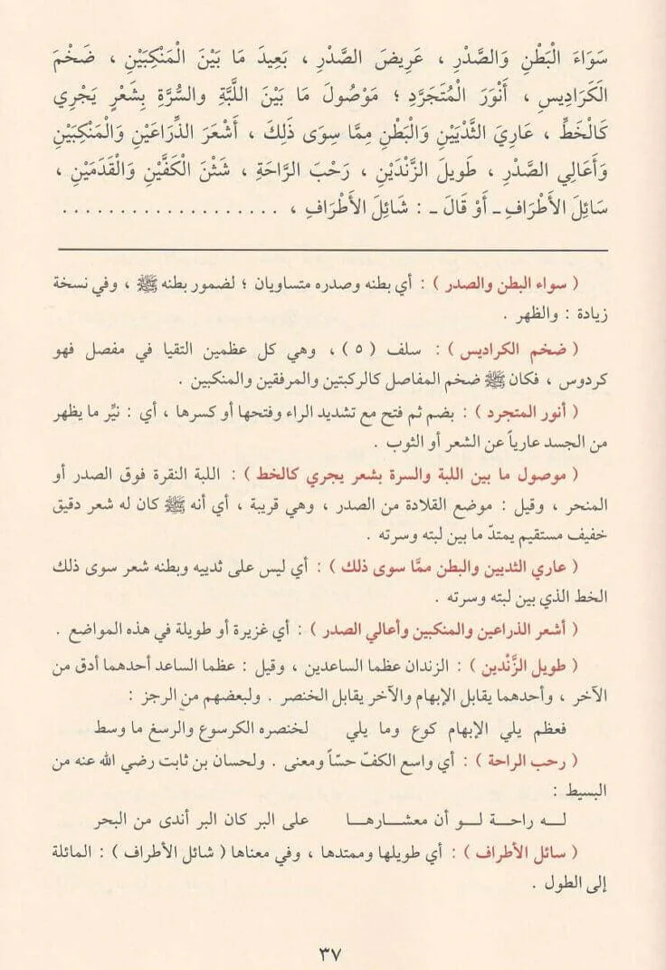 صورة مصغرة 4