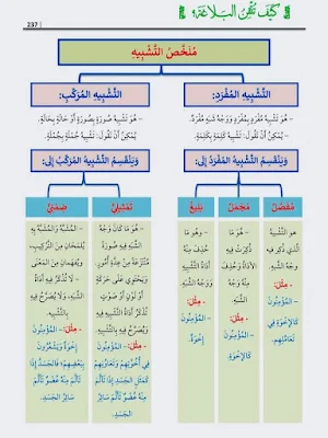 صورة مصغرة 8