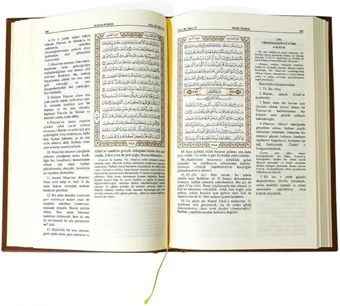 صورة مصغرة 5