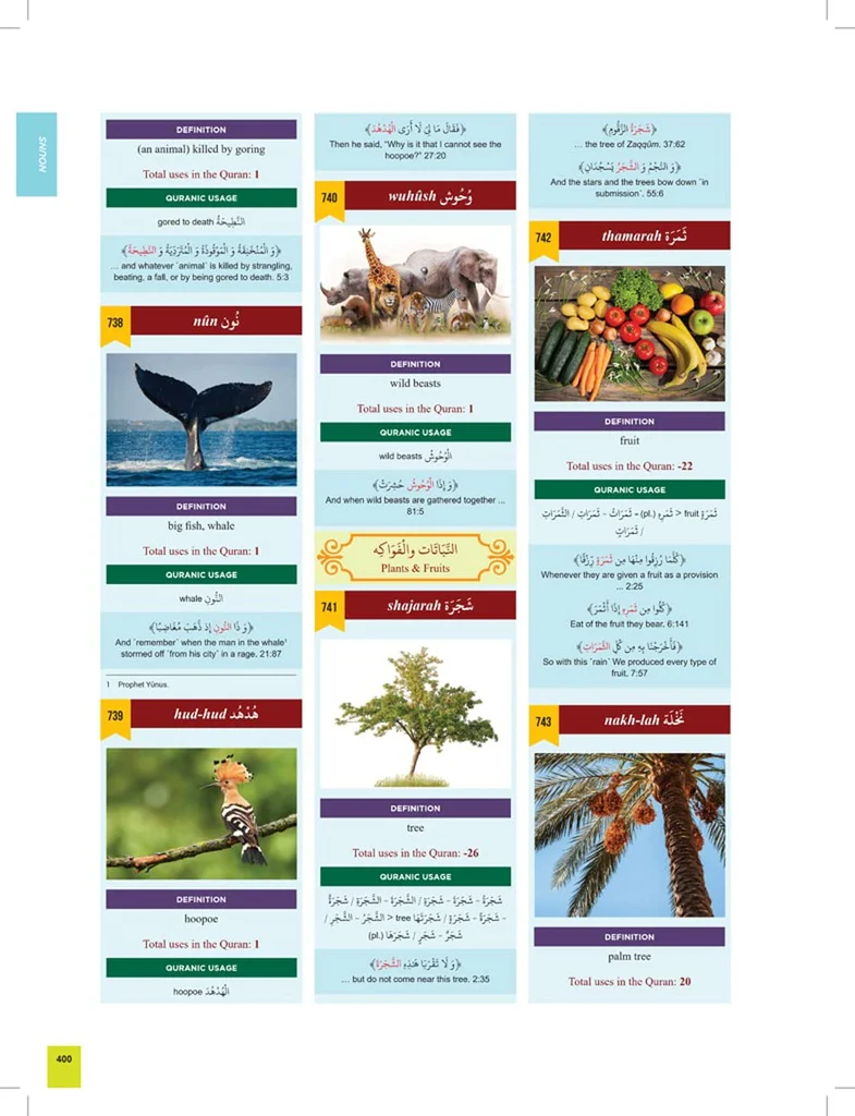 صورة مصغرة 5