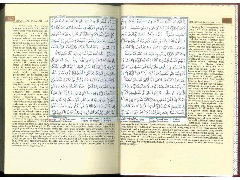 صورة مصغرة 5
