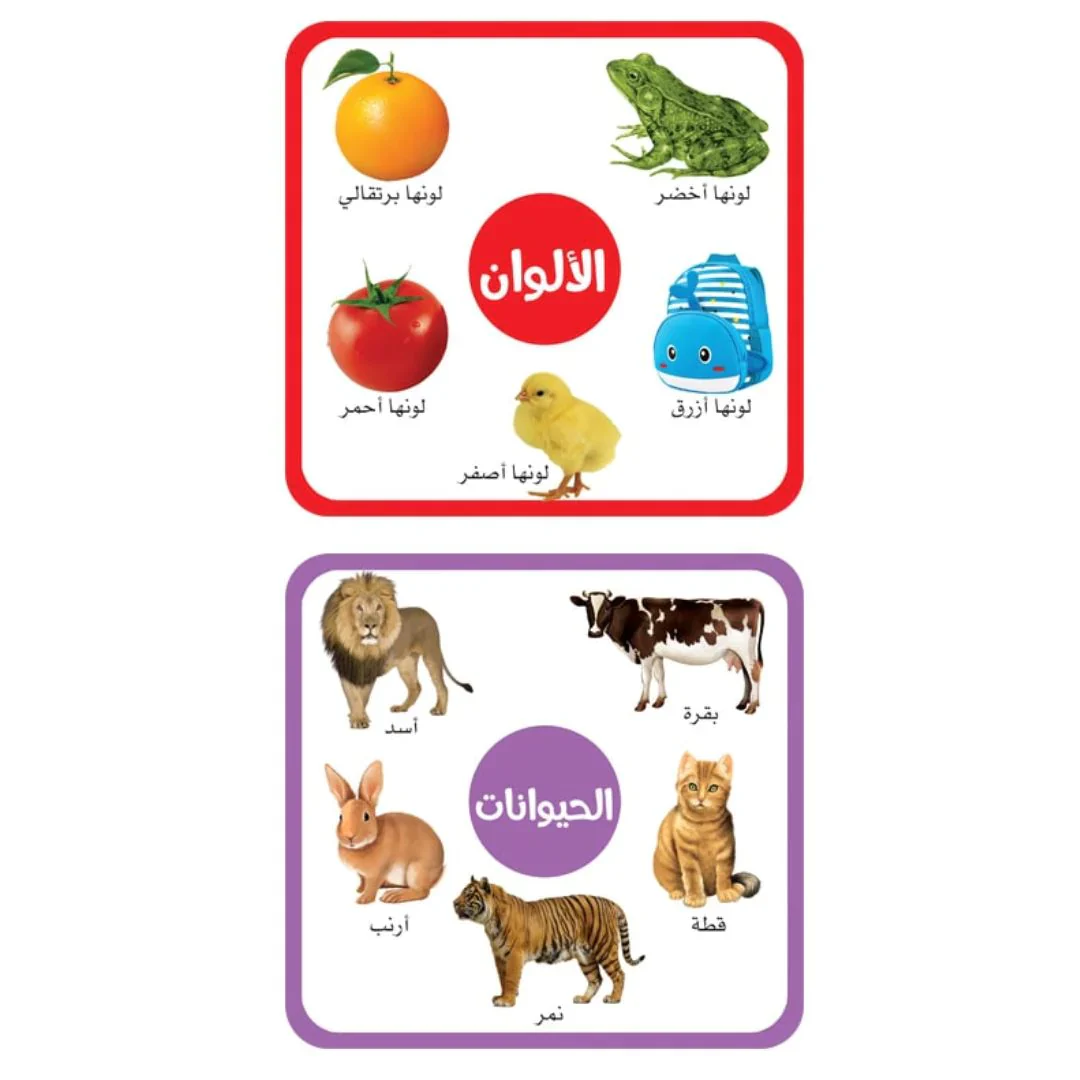 صورة مصغرة 7