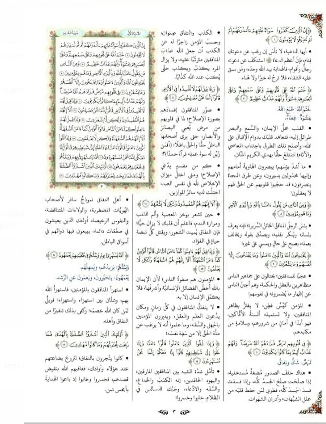صورة مصغرة 2