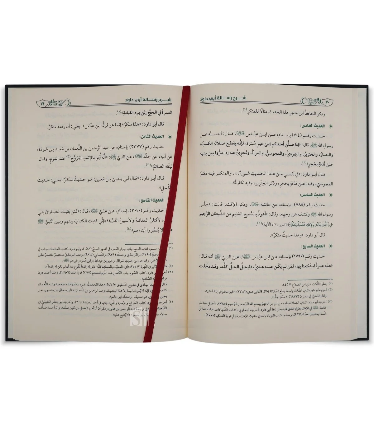 صورة مصغرة 2