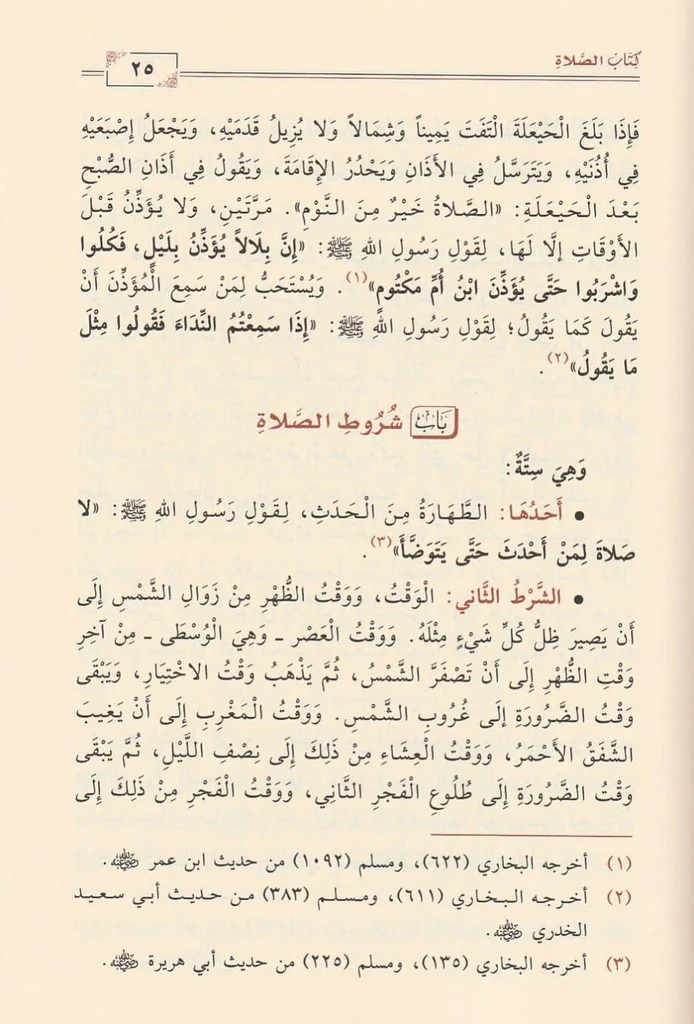 صورة مصغرة 3