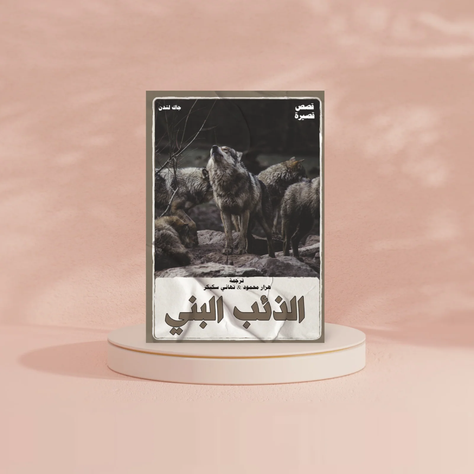 صورة مصغرة 2