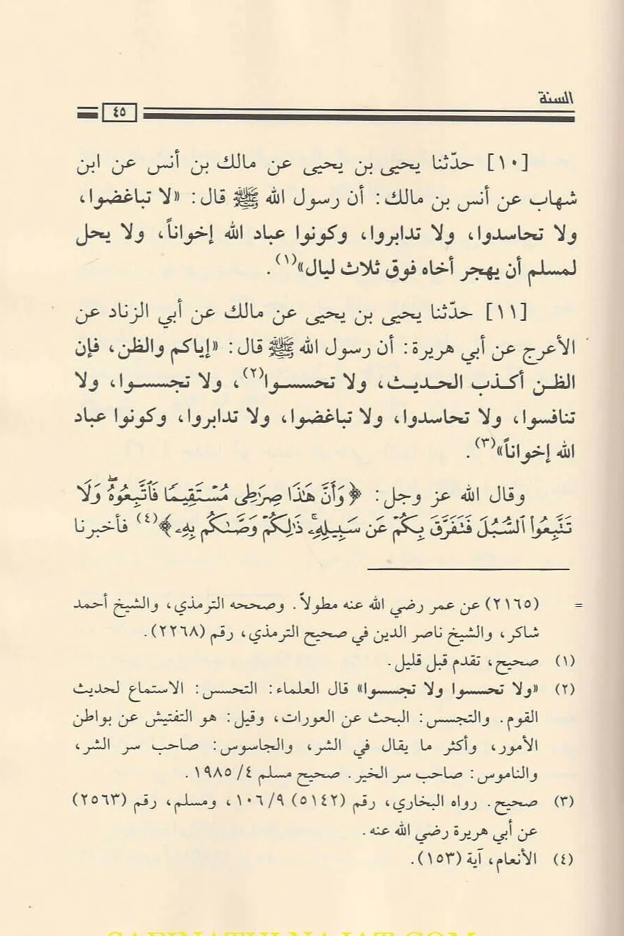 صورة مصغرة 4