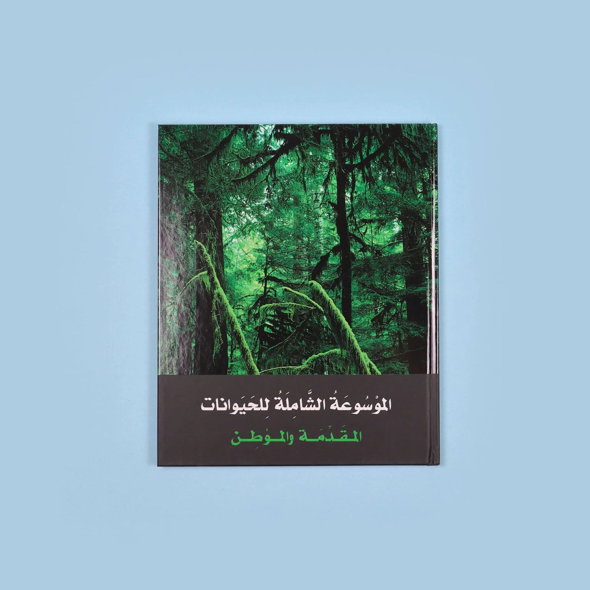 صورة مصغرة 4