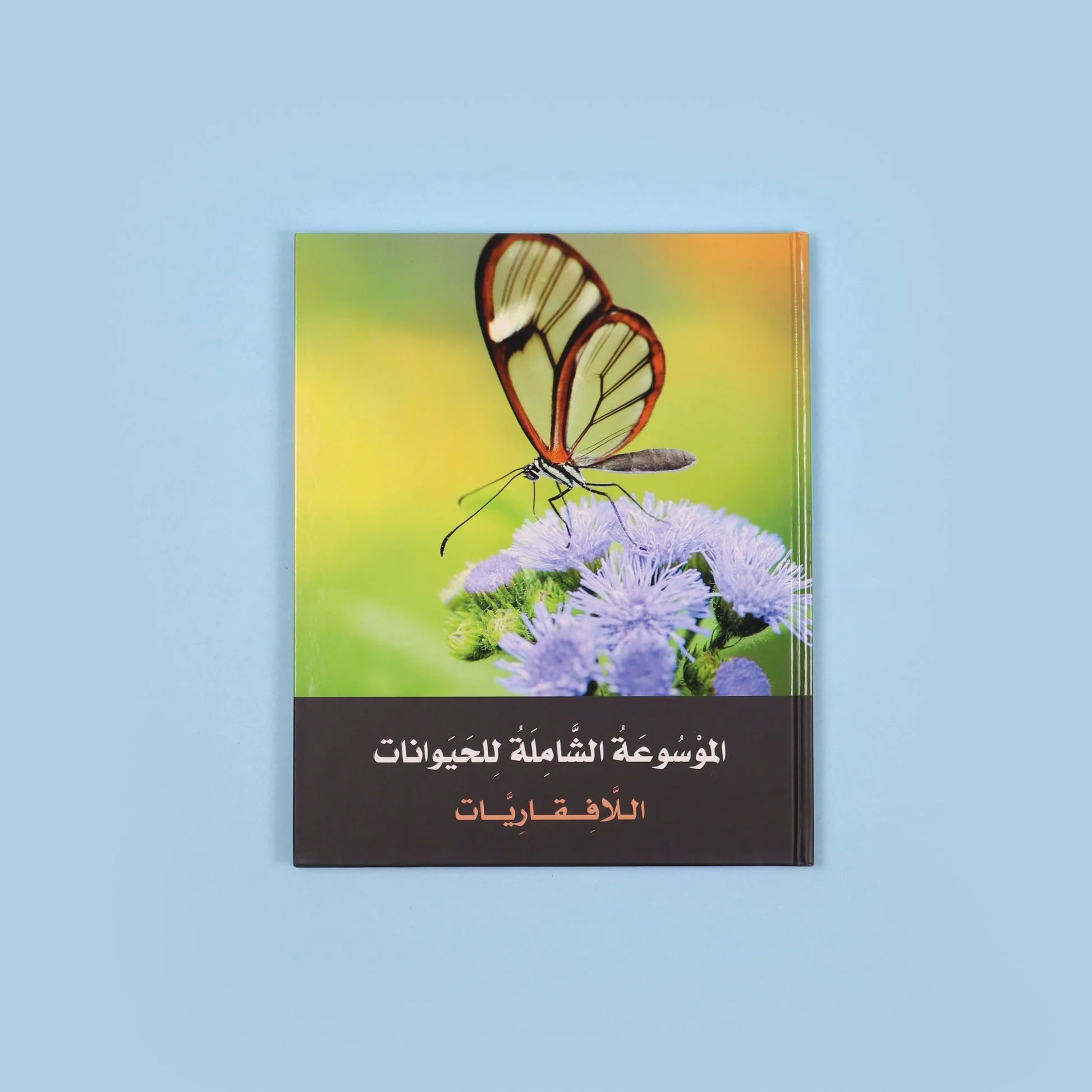 صورة مصغرة 5