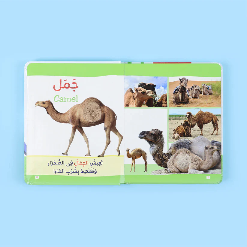 صورة مصغرة 2