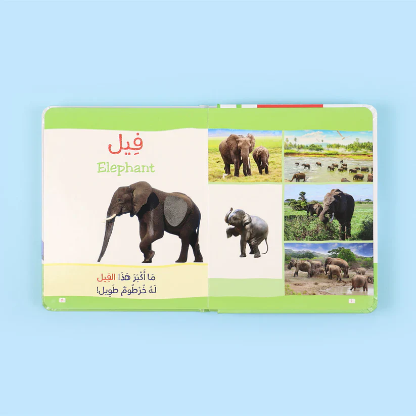 صورة مصغرة 3