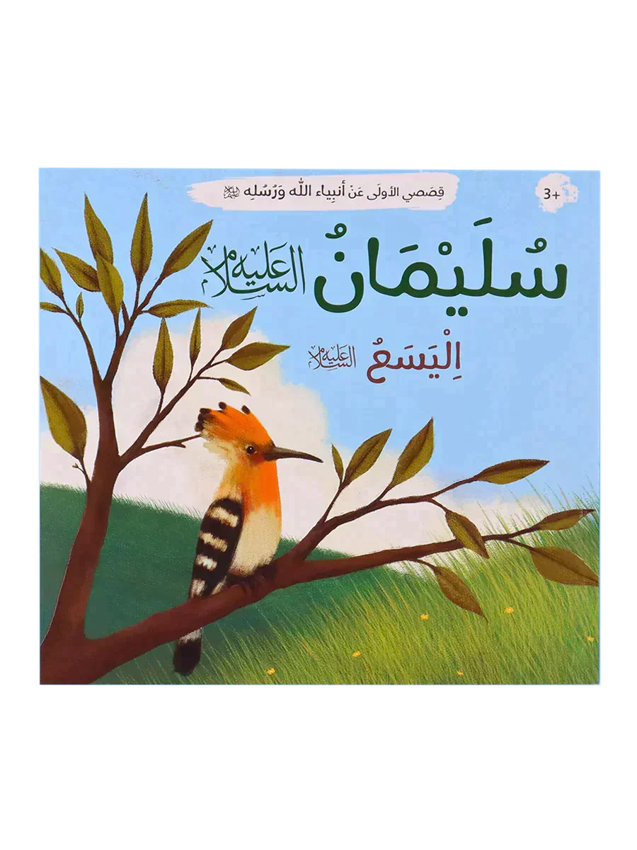 صورة مصغرة 8