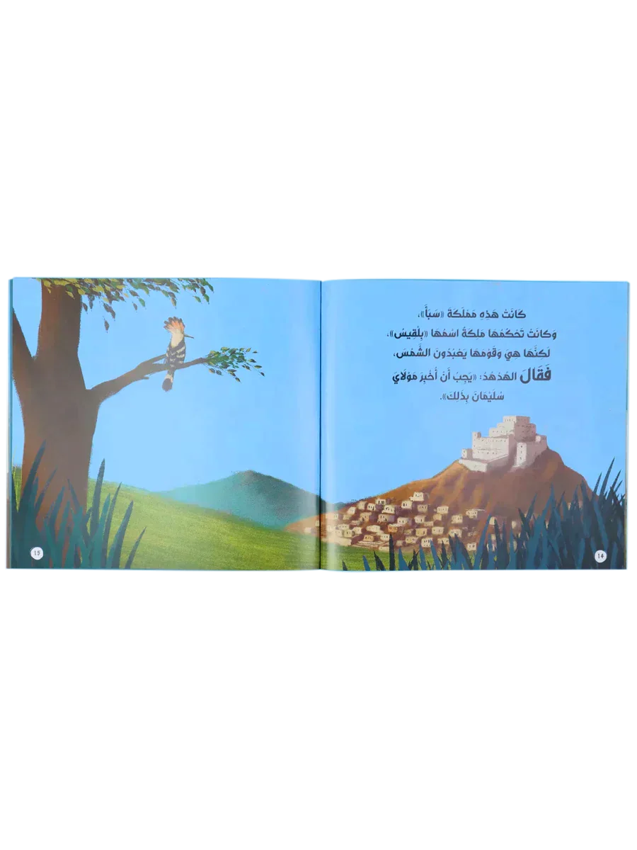 صورة مصغرة 9