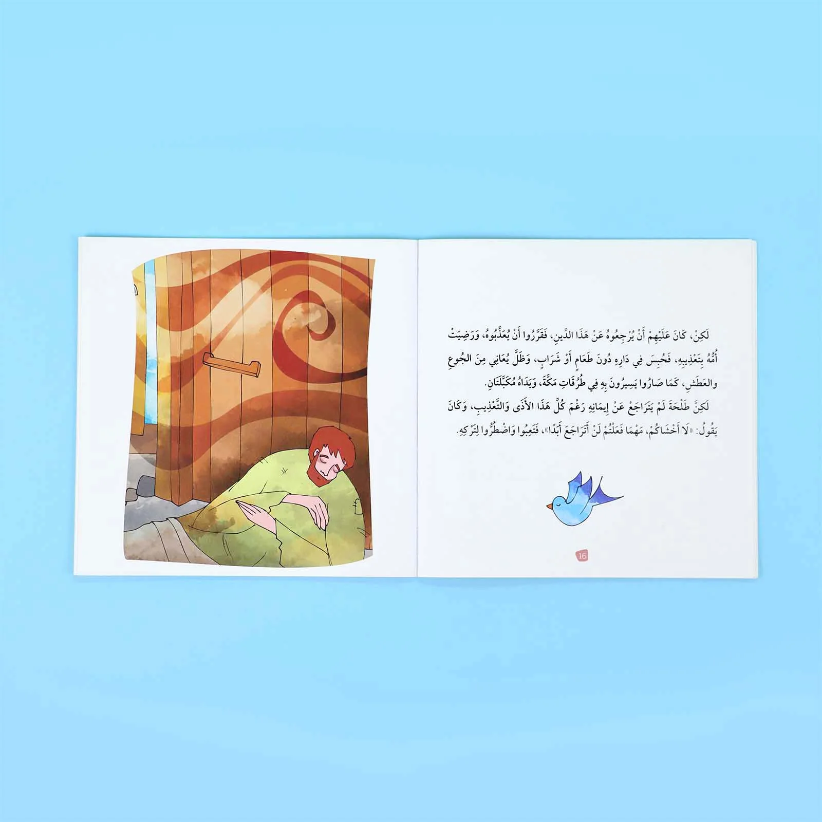 صورة مصغرة 13