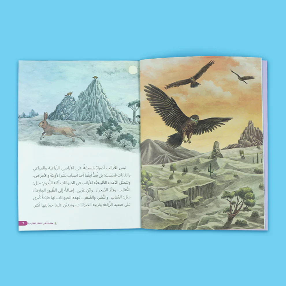 صورة مصغرة 5