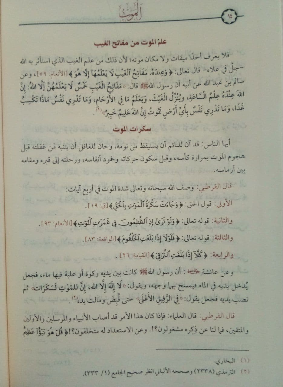 صورة مصغرة 2