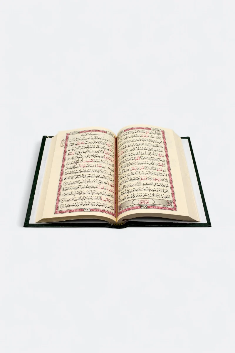 صورة مصغرة 3