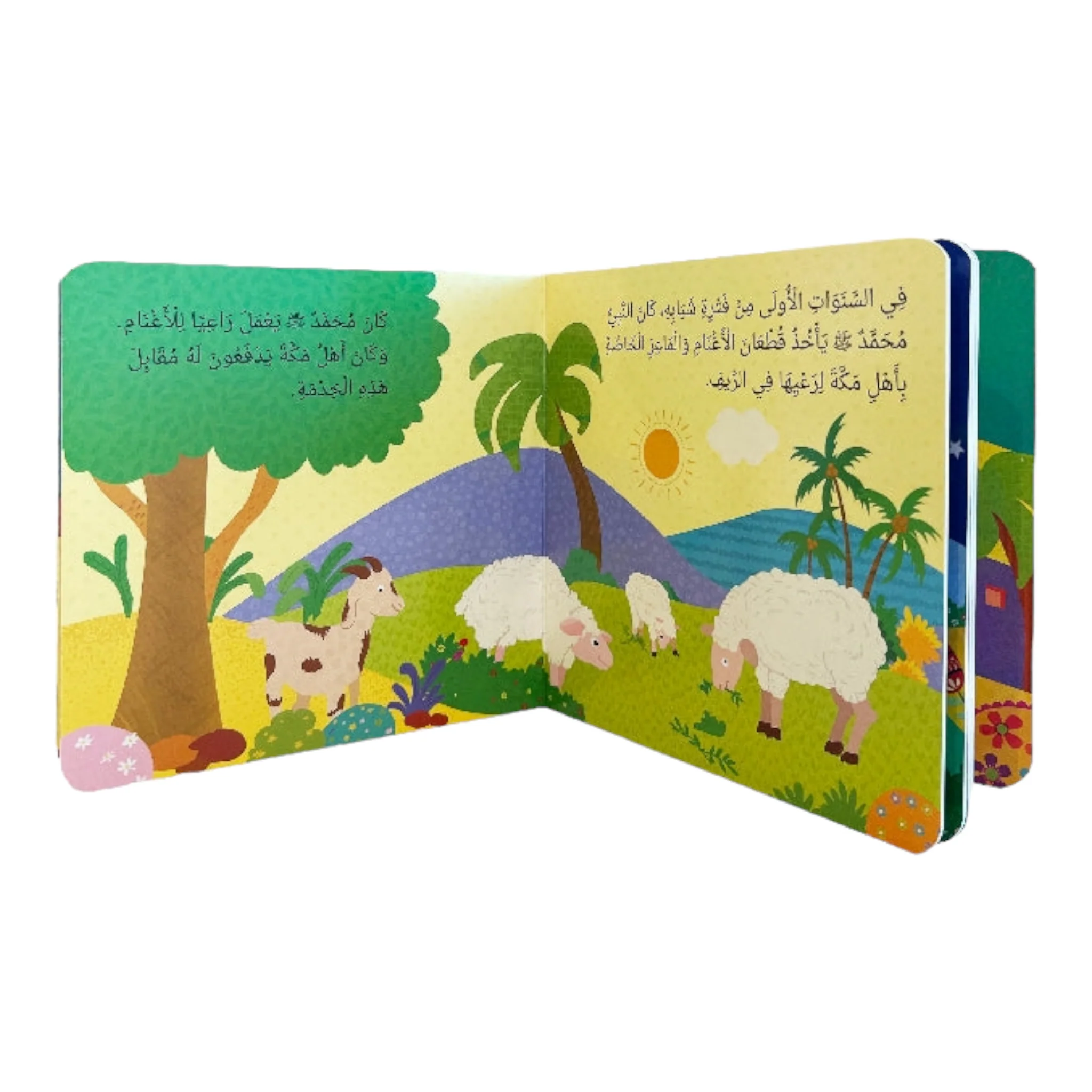 صورة مصغرة 2