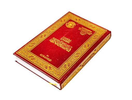 صورة مصغرة 2