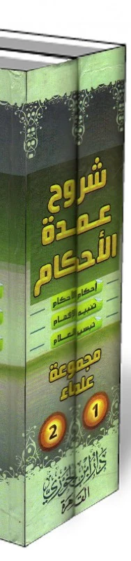 صورة مصغرة 2