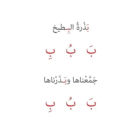 صورة مصغرة 6