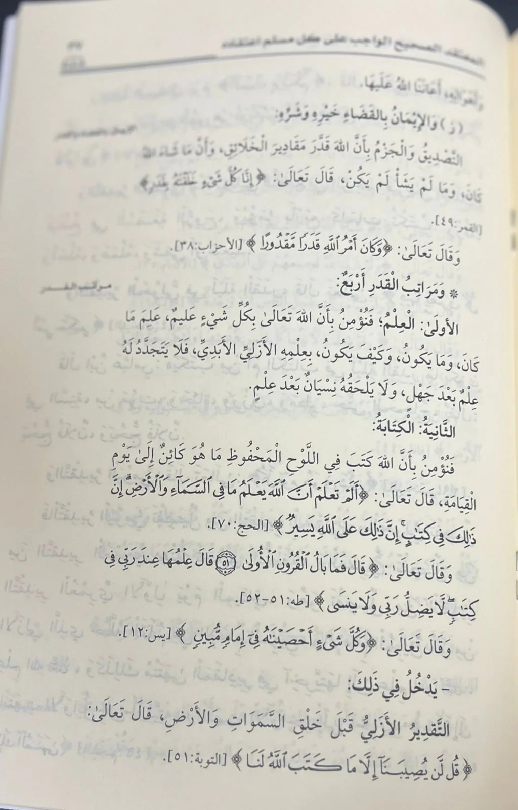 صورة مصغرة 2