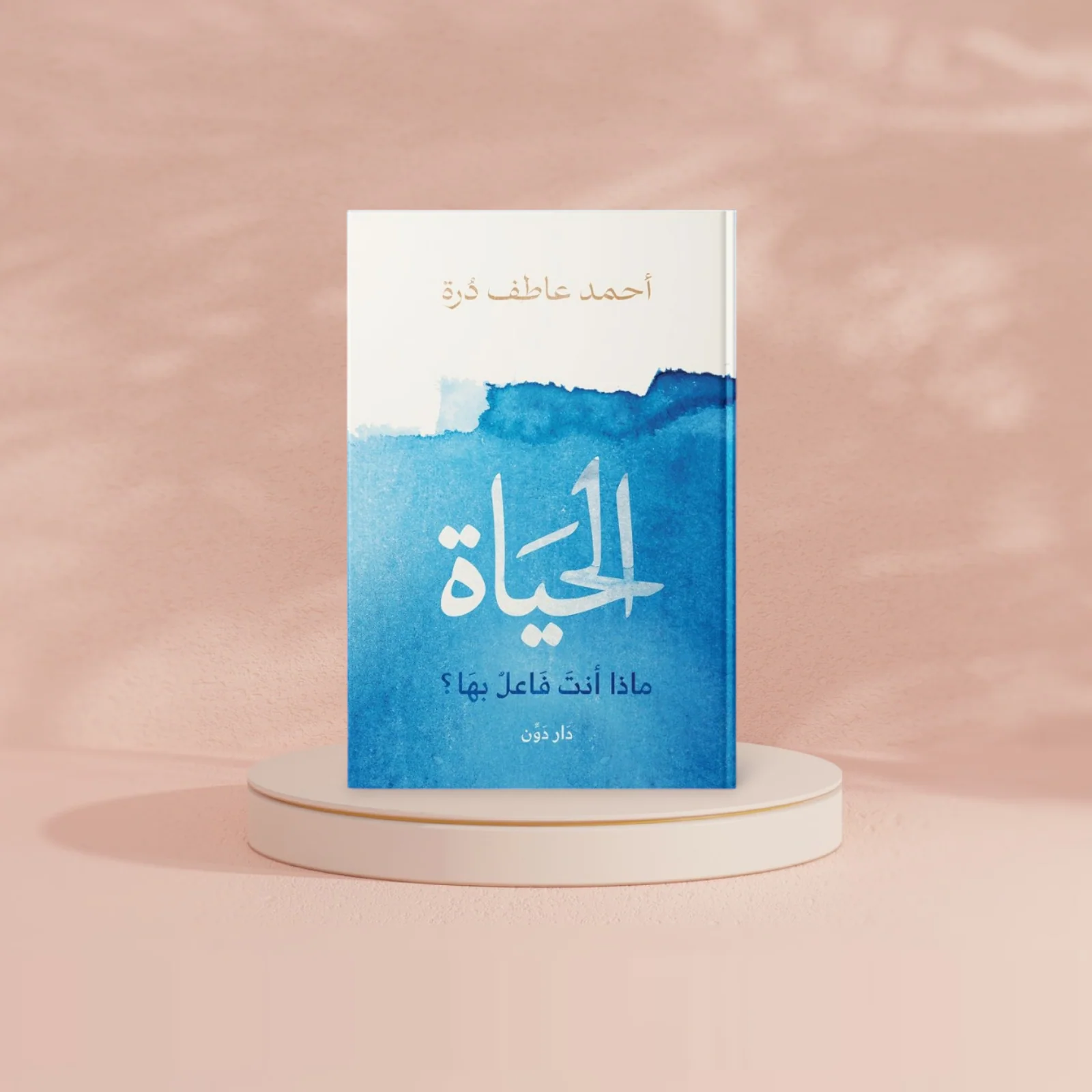 صورة مصغرة 2