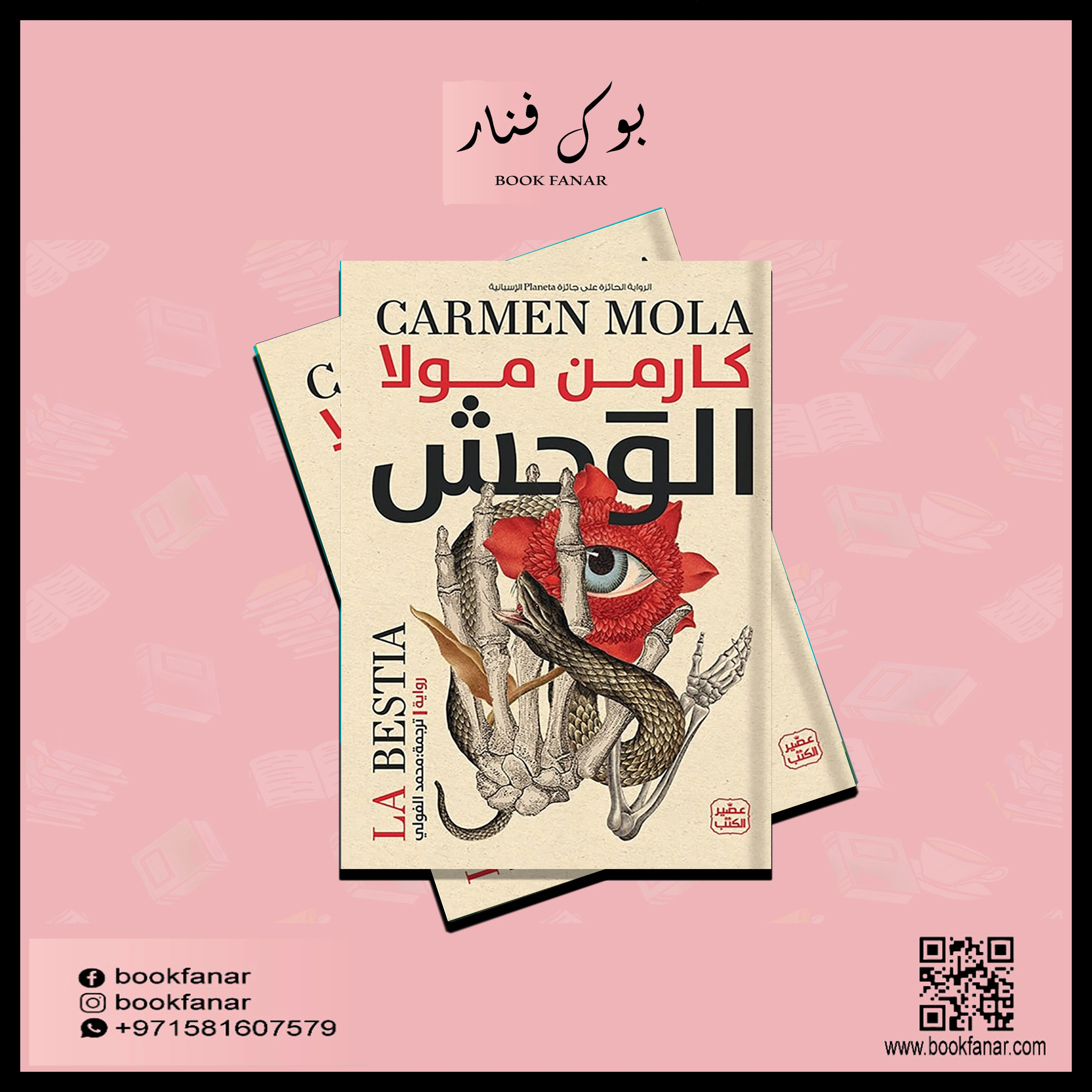 صورة مصغرة 2