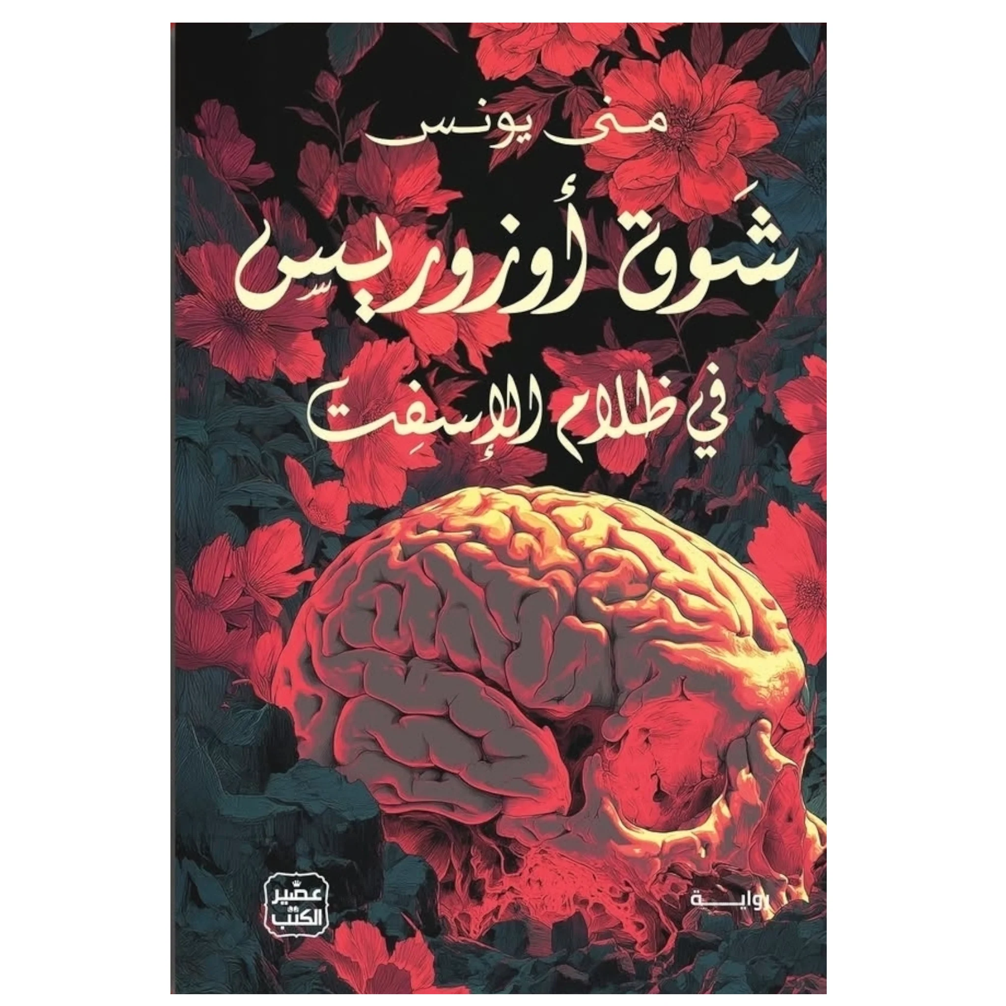 صورة المنتج 1