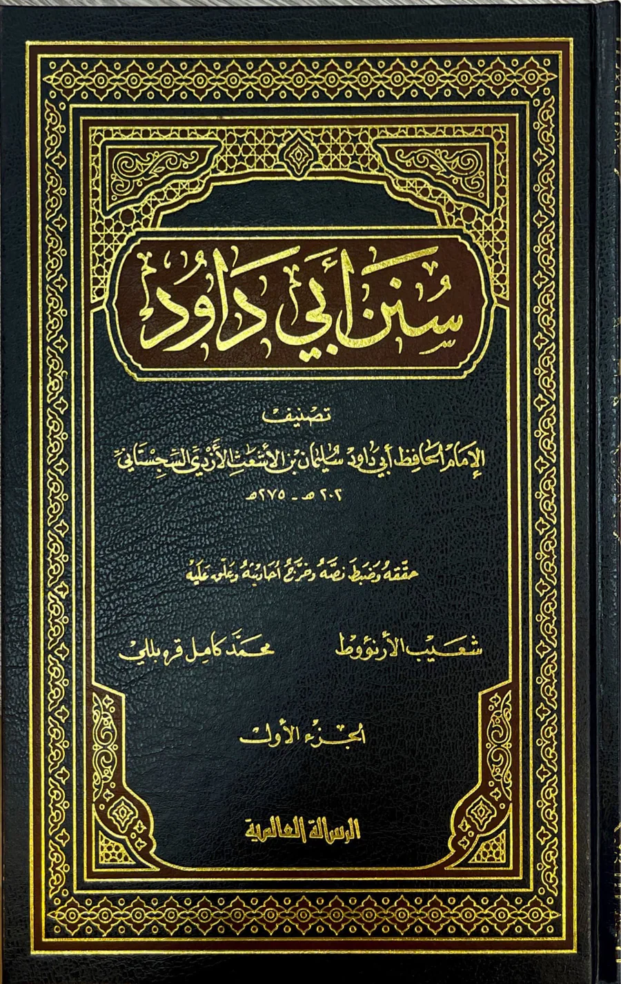 صورة مصغرة 2