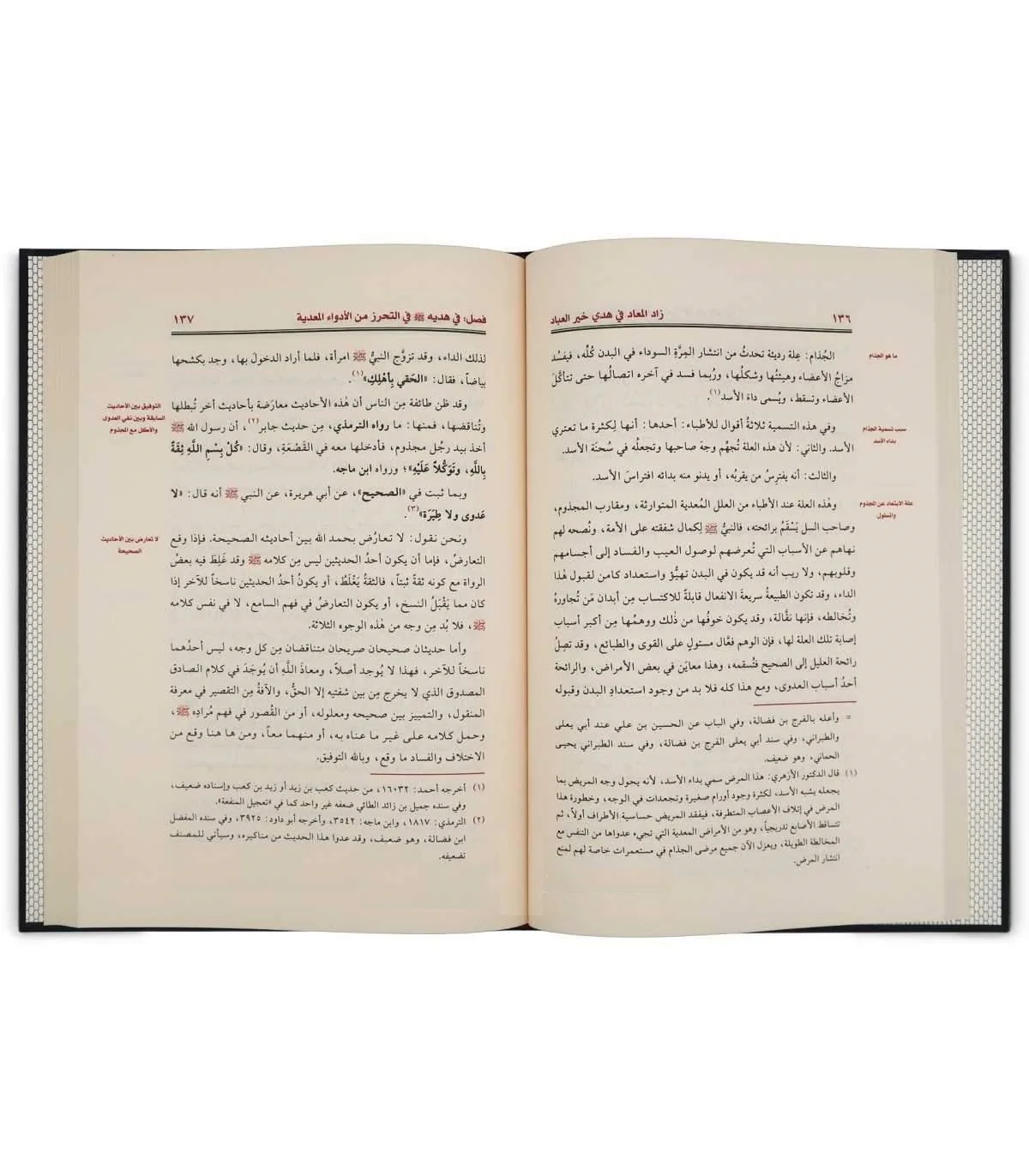 صورة مصغرة 8