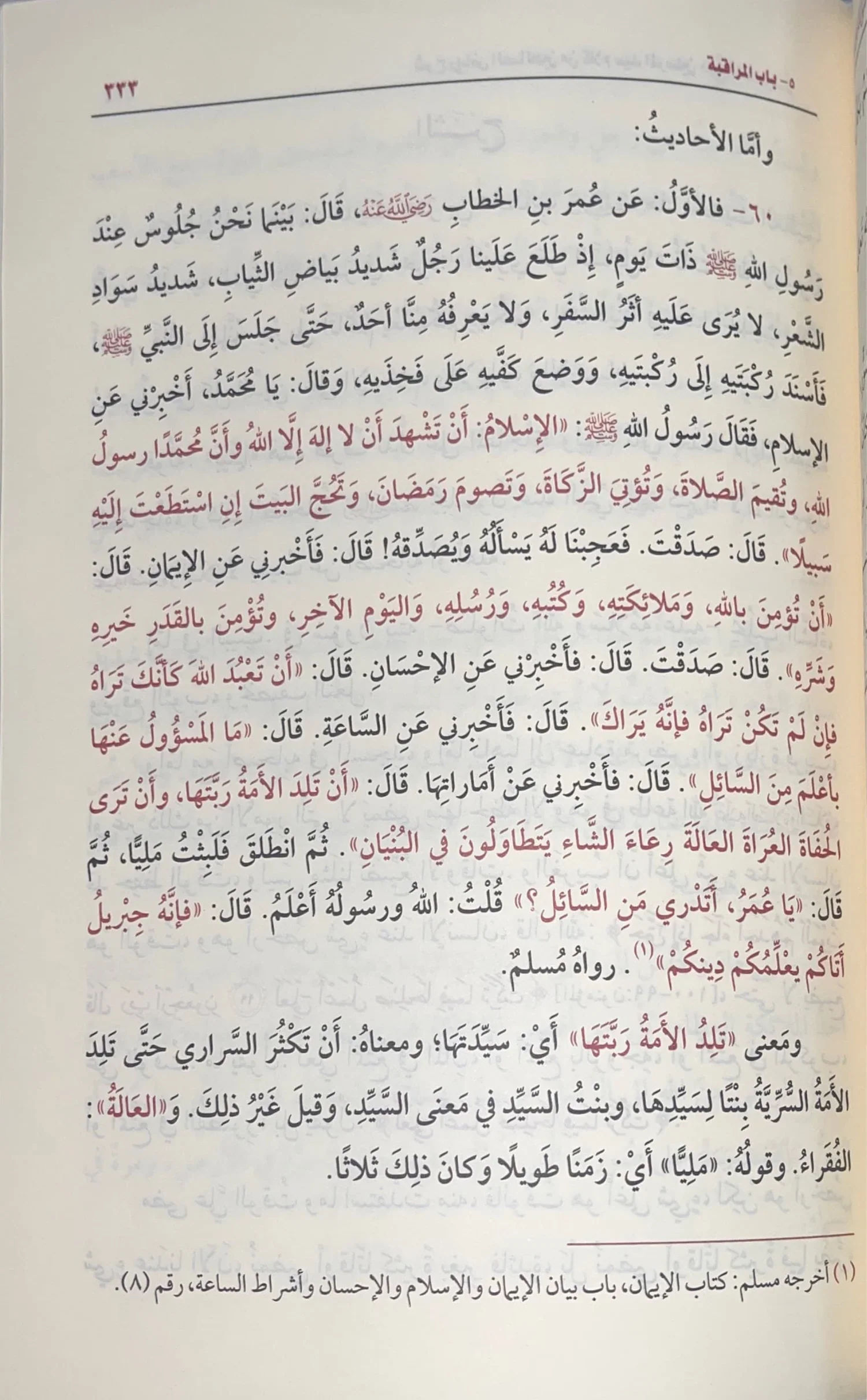 صورة مصغرة 3
