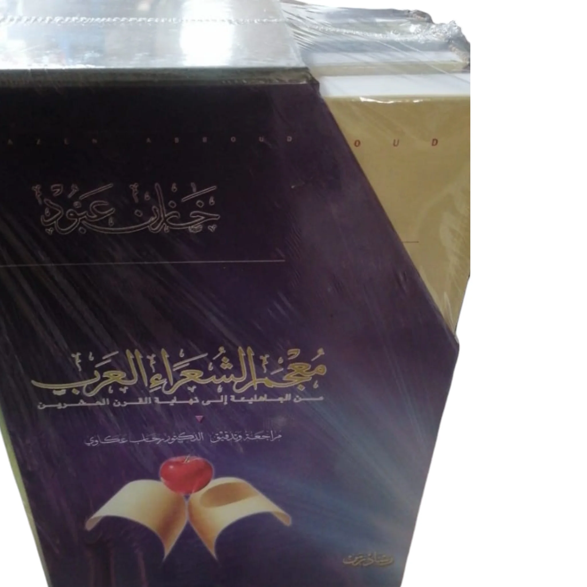 صورة مصغرة 2