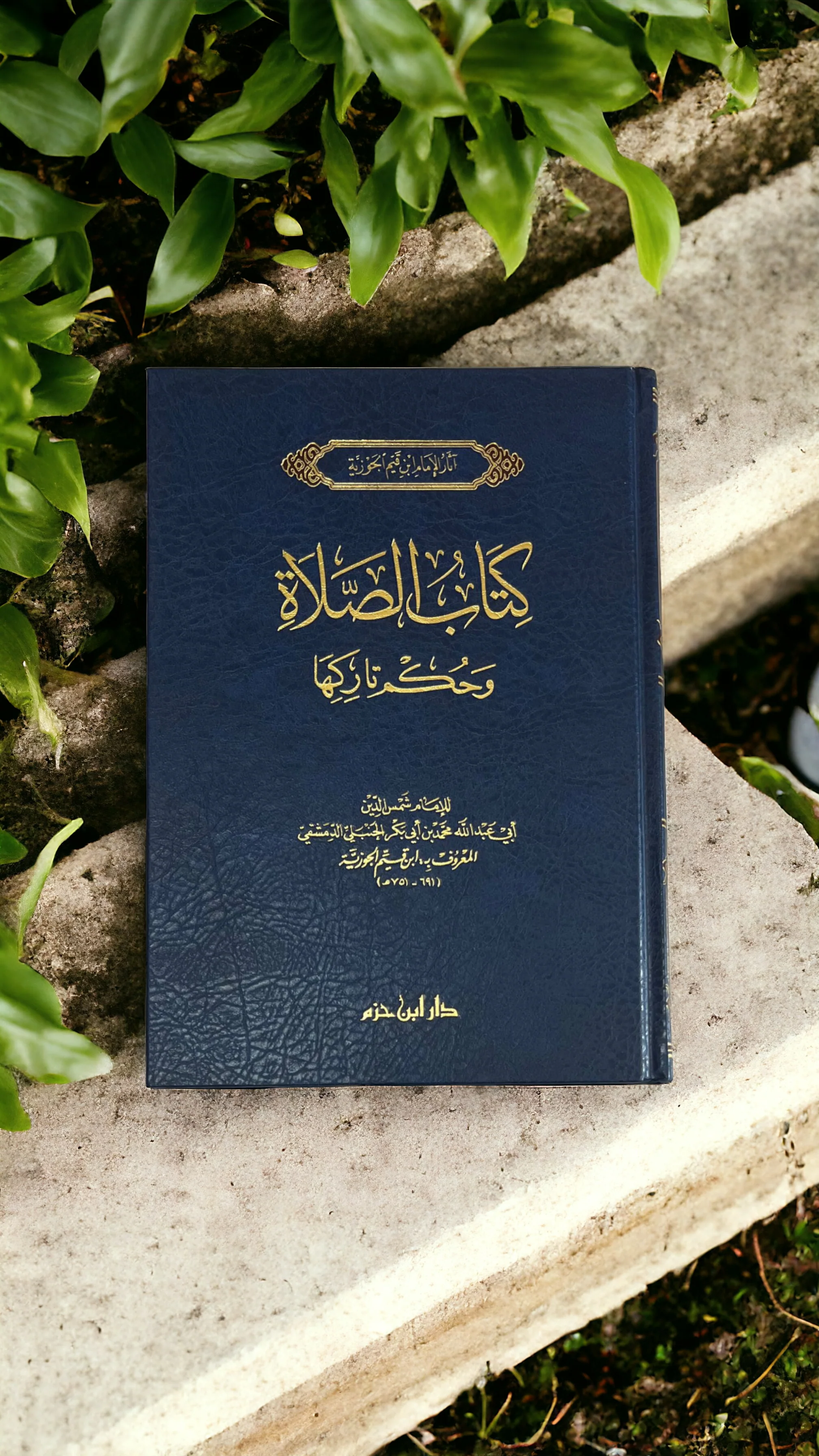 صورة مصغرة 2