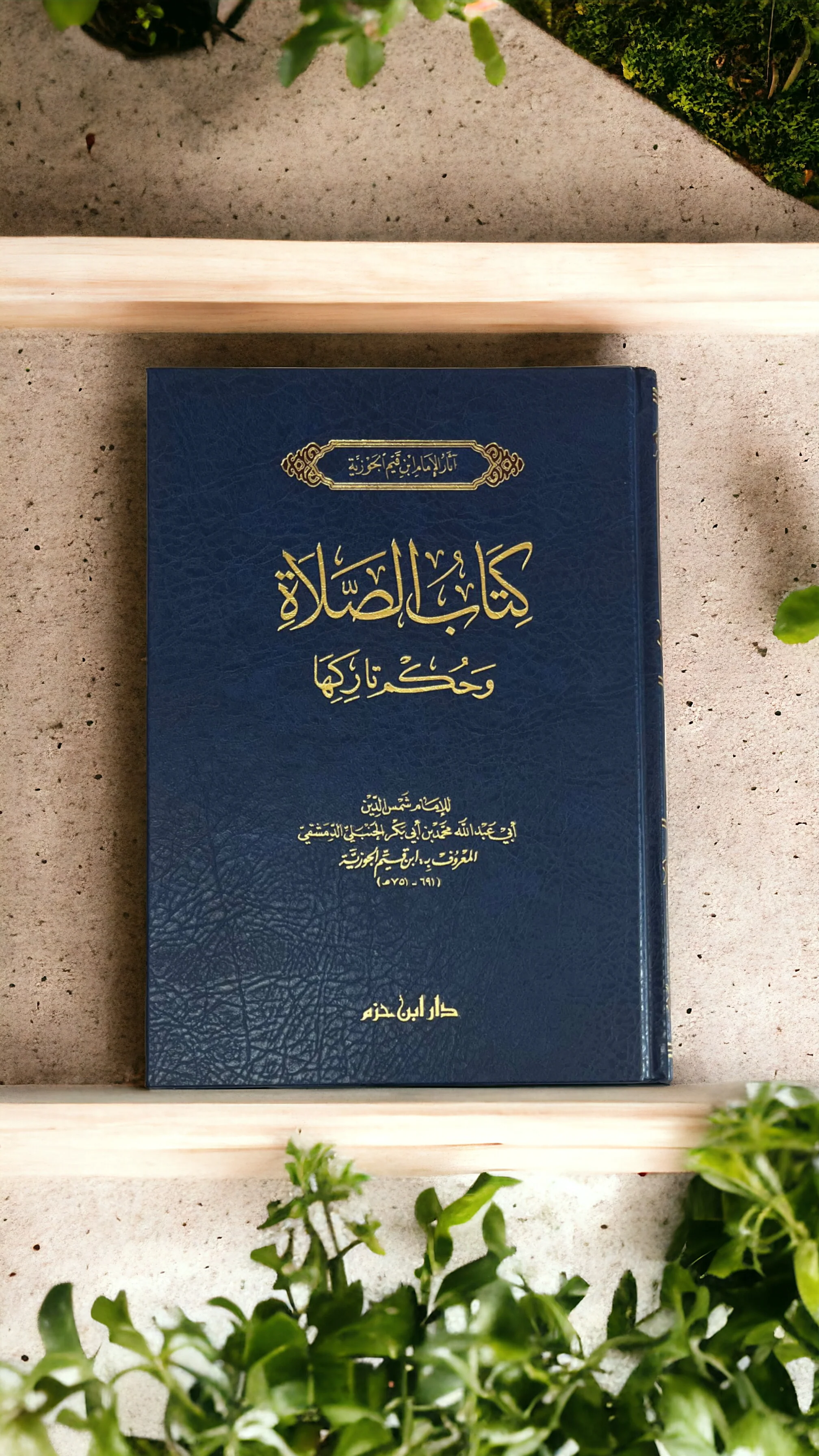 صورة مصغرة 3