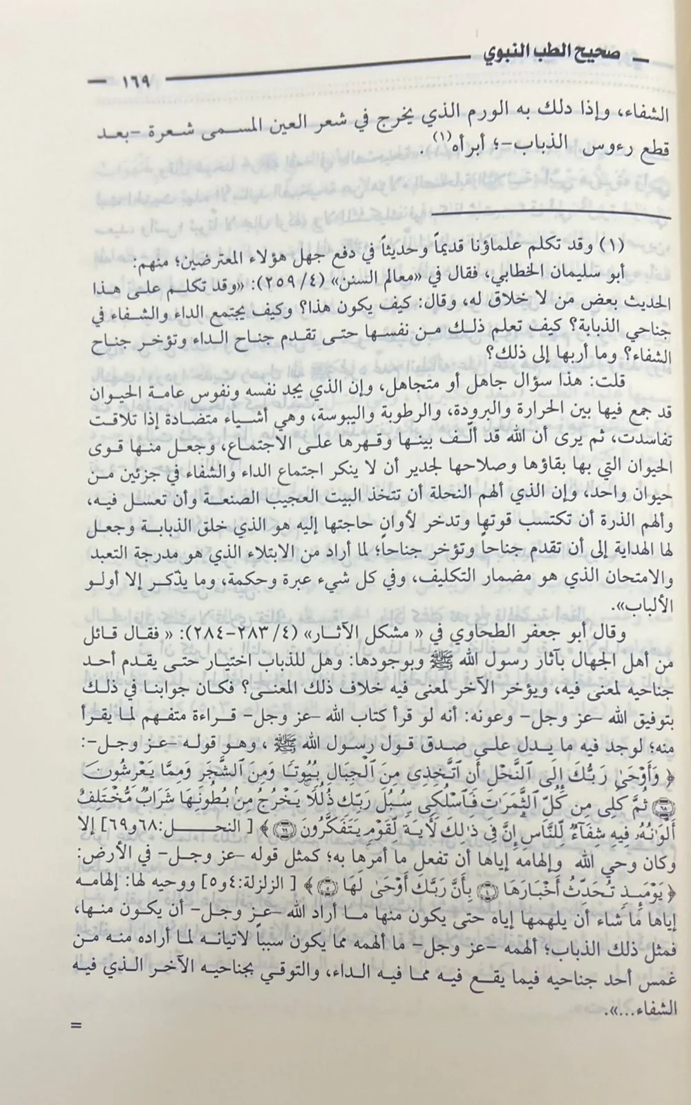 صورة مصغرة 2