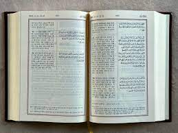 صورة مصغرة 4