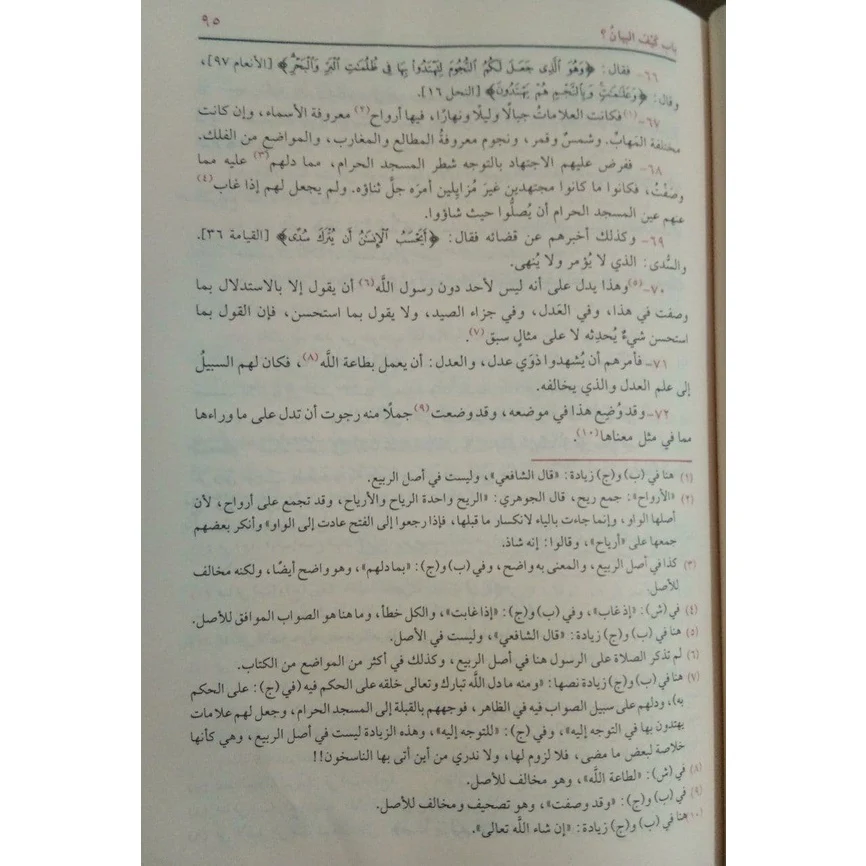 صورة مصغرة 2