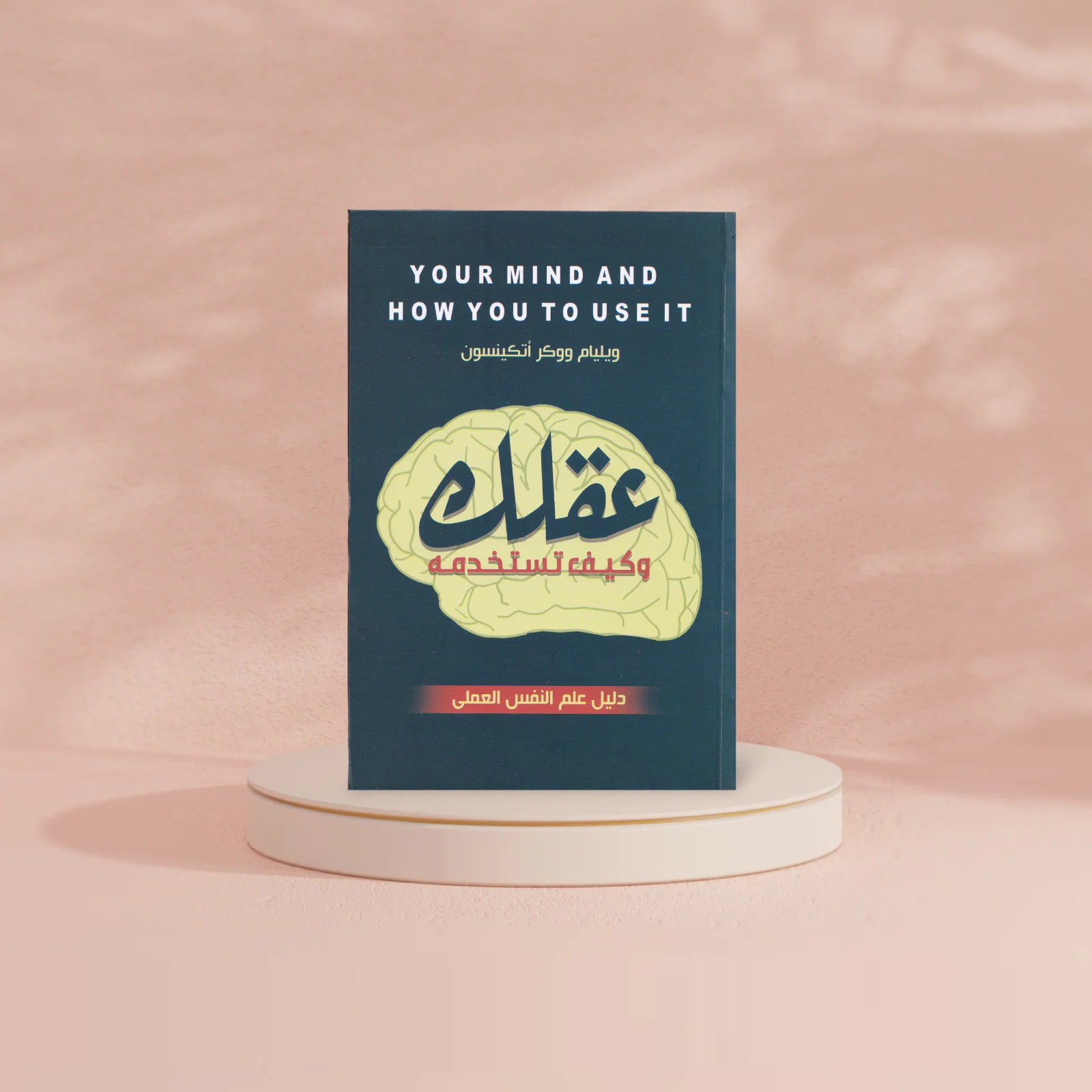 صورة مصغرة 4