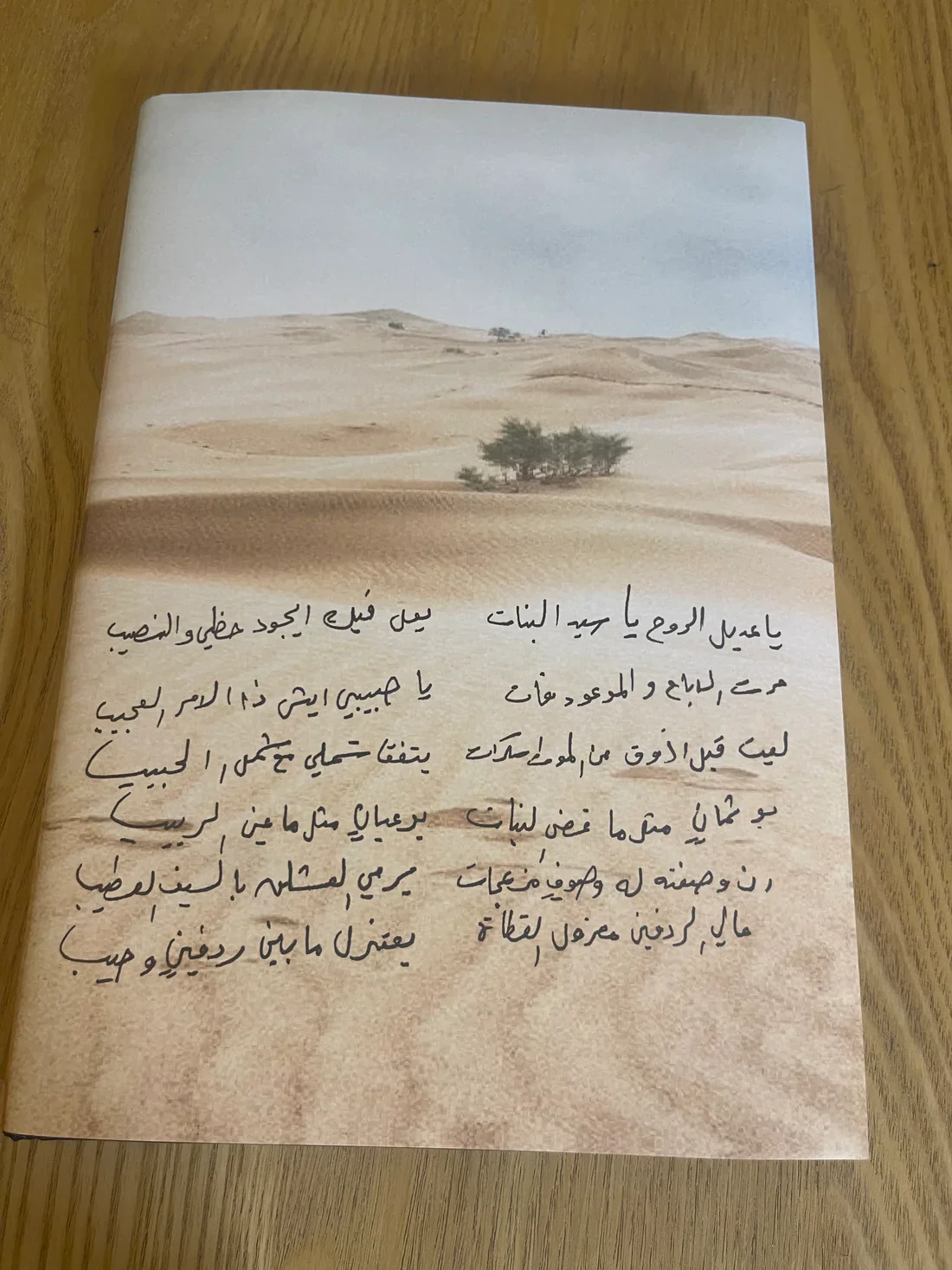صورة مصغرة 2