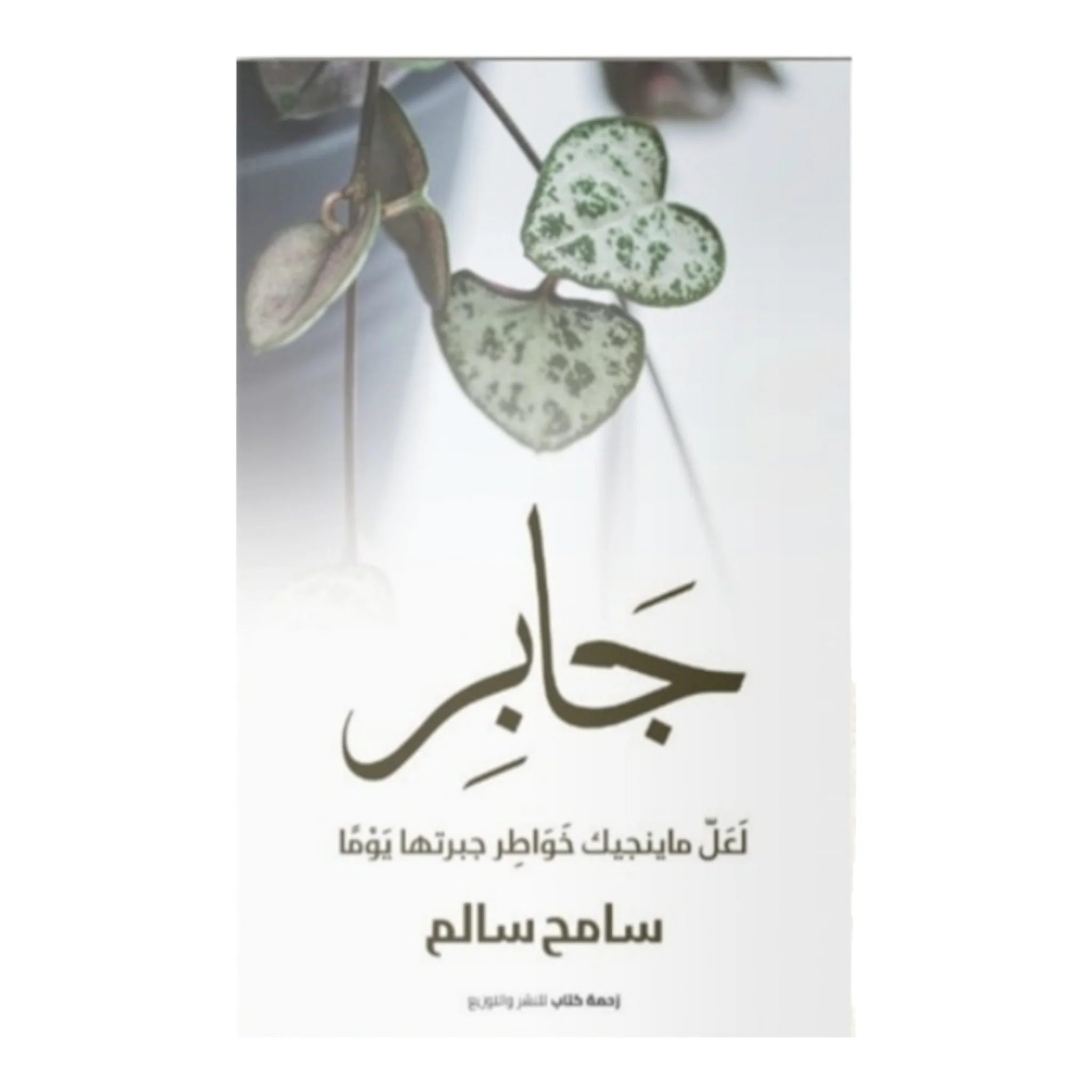صورة المنتج 1